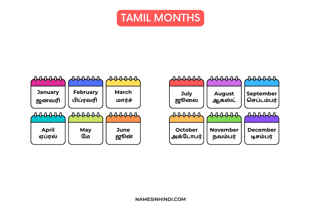Months Name In Tamil Infographic × px