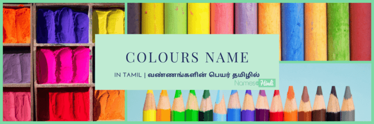 40+ Colours Name in Tamil | வண்ணங்களின் பெயர் தமிழில்