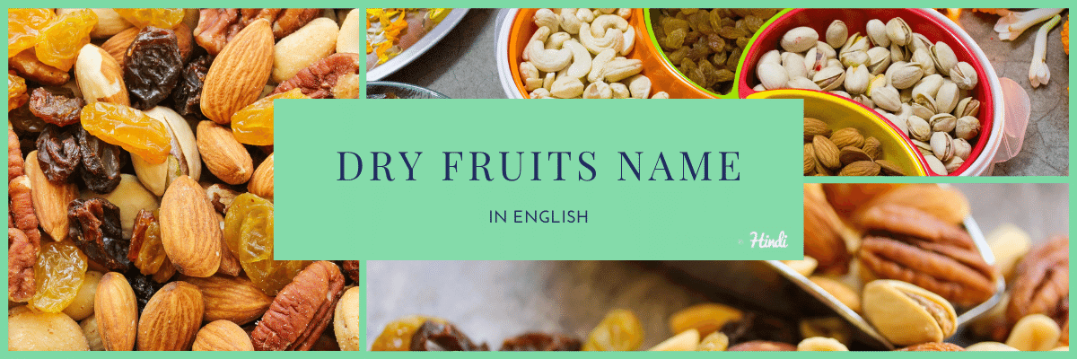 DRY FRUITS NAME in English
