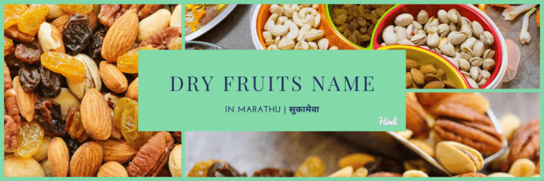 25+ Dry Fruits Name in Marathi | सुकामेवा | सुक्या फळेांचे नाव