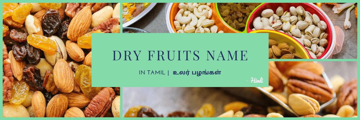 DRY FRUITS NAME in TAMIL