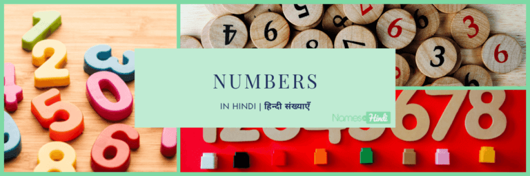 1 to 100 Hindi Numbers | Hindi Ginti | हिन्दी संख्याएँ