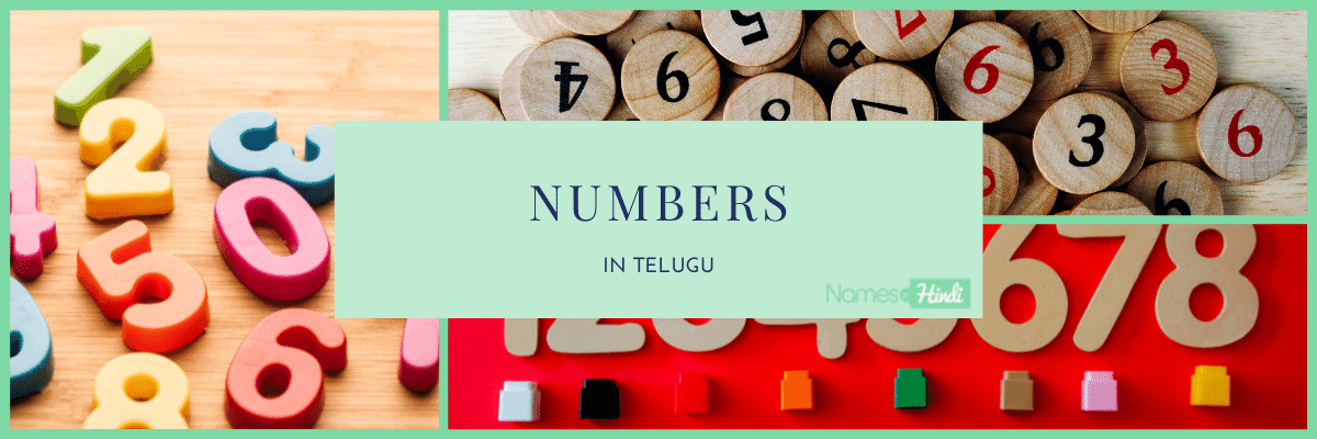 Numbers In Telugu 1 100 Counting Names In Hindi