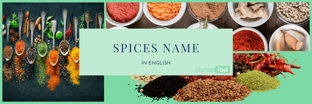 Spices Name in ENGLISH