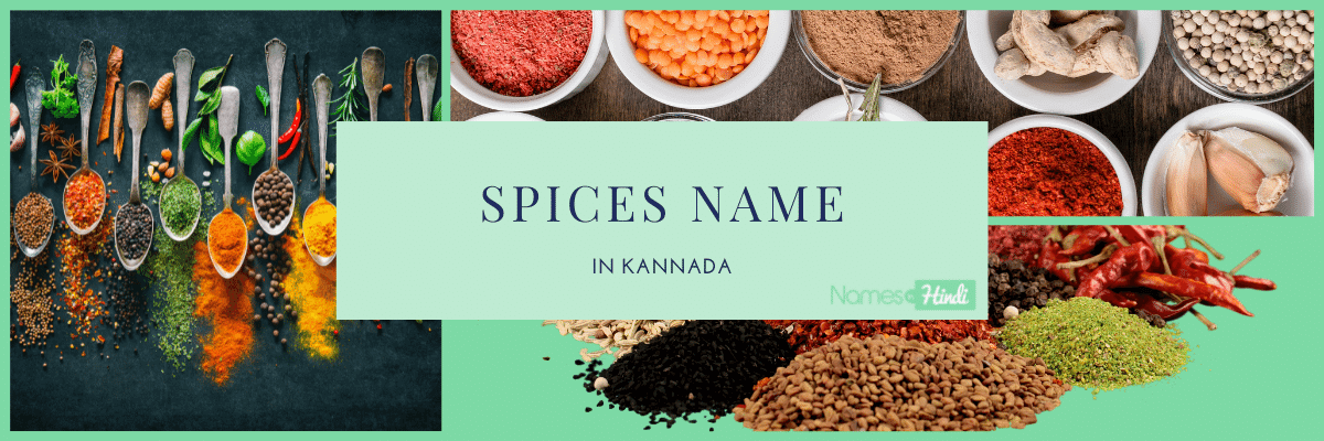 Spices Name in KANNADA