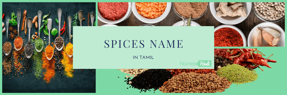 Spices Name in TAMIL