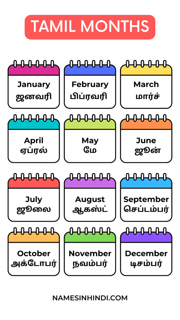 Months Name In Tamil Infographic